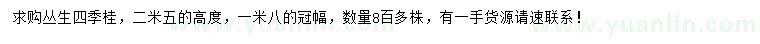 求購(gòu)高2.5米叢生四季桂