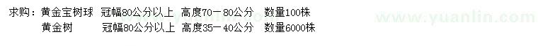 求購冠幅80公分以上黃金寶樹球、黃金樹 