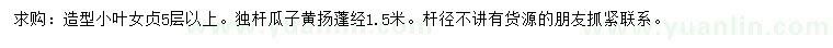 求購(gòu)造型小葉女貞、獨(dú)桿瓜子黃楊
