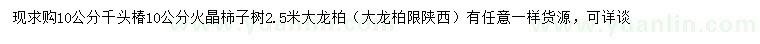 求購(gòu)千頭椿、火晶柿子樹、大龍柏