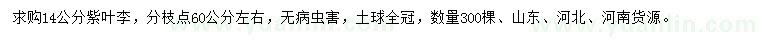 求購14公分紫葉李