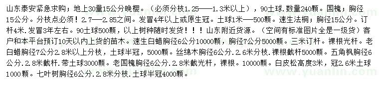求購晚櫻、國槐、速生法桐等