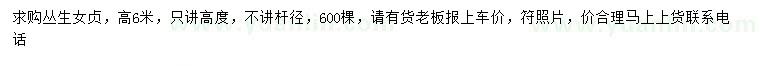 求購高6米叢生女貞