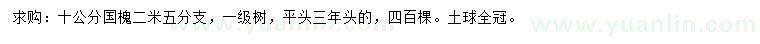 求購10公分國槐