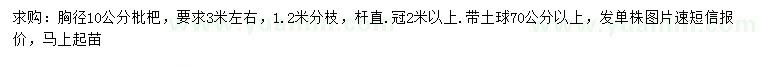 求購胸徑10公分枇杷