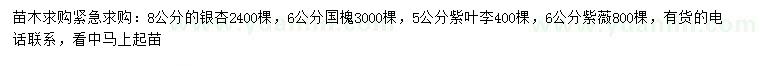 求購銀杏、國槐、紫葉李等