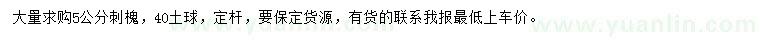 求購5公分刺槐