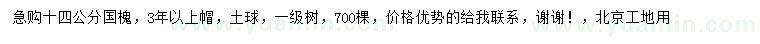 求購14公分國槐