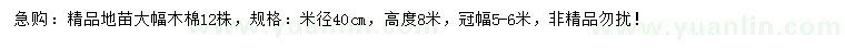 求購40公分精品大幅木棉地苗
