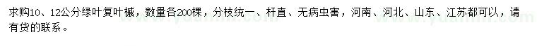 求購10、12公分綠葉復(fù)葉槭