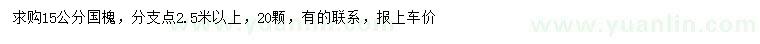 求購15公分國槐