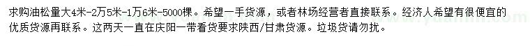 求購4、5、6米油松