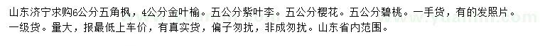 求購五角楓、金葉榆、紫葉李等