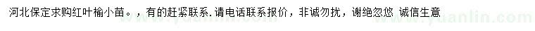 求購紅葉榆小苗