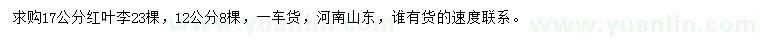 求購12、17公分紅葉李