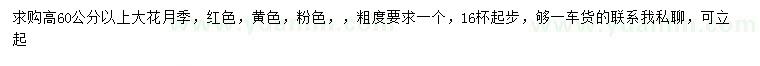 求購高60公分以上月季