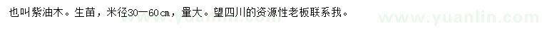 求購米徑30-60公分清香木