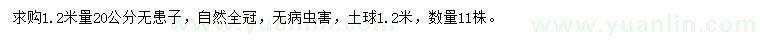 求購1.2米量20公分無患子	