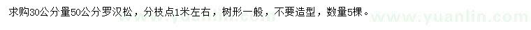 求購(gòu)30公分量50公分羅漢松
