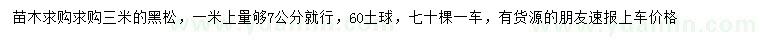 求購3米黑松