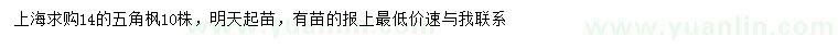 求購14公分五角楓