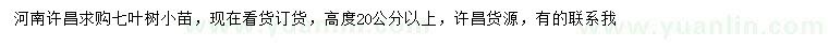 求購高20公分以上七葉樹小苗