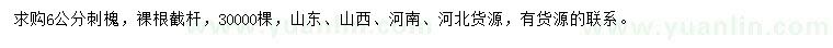 求購6公分刺槐