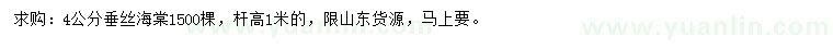 求購4公分垂絲海棠