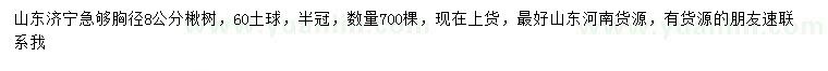求購(gòu)胸徑8公分楸樹