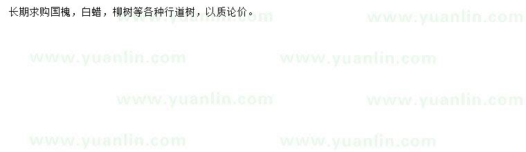 求購國槐、白蠟、柳樹