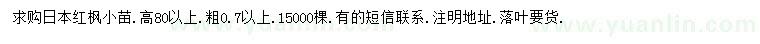 求購高80公分以上日本紅楓小苗