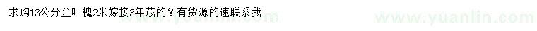 求購13公分金葉槐