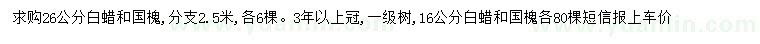 求購16、26公分國槐、白蠟