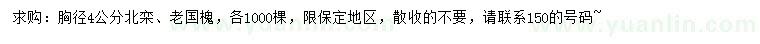 求購胸徑4公分北欒、老國槐