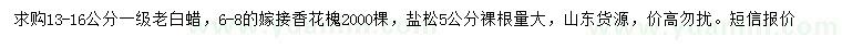 求購白蠟、香花槐、鹽松