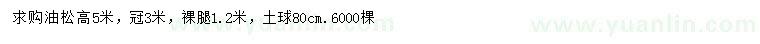 求購高5米油松