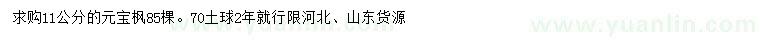 求購11公分元寶楓