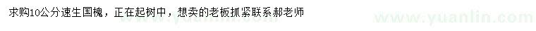 求購10公分速生國槐