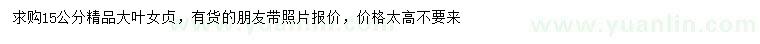 求購15公分精品大葉女貞