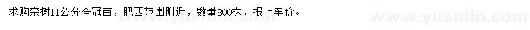 求購11公分欒樹