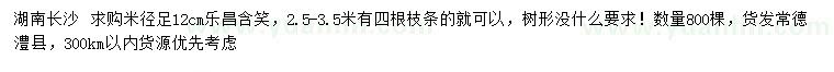 求購米徑足12公分樂昌含笑