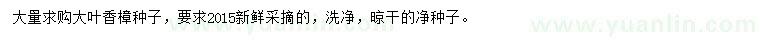 求購大葉香樟種子