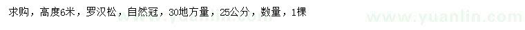 求購30量25公分羅漢松