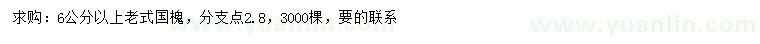求購6公分以上老式國槐
