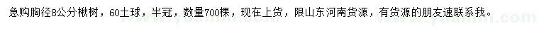 求購(gòu)胸徑8公分楸樹(shù)