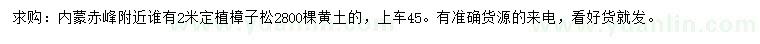 求購(gòu)2米樟子松