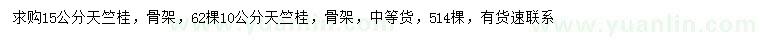 求購10、15公分天竺桂