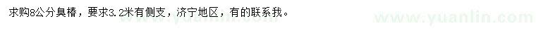 求購8公分臭椿