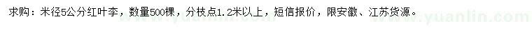 求購米徑5公分紅葉李
