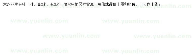 求購高3米金桂